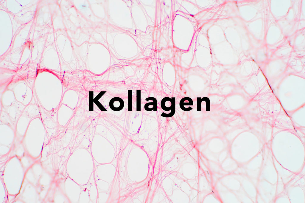 Kollagen